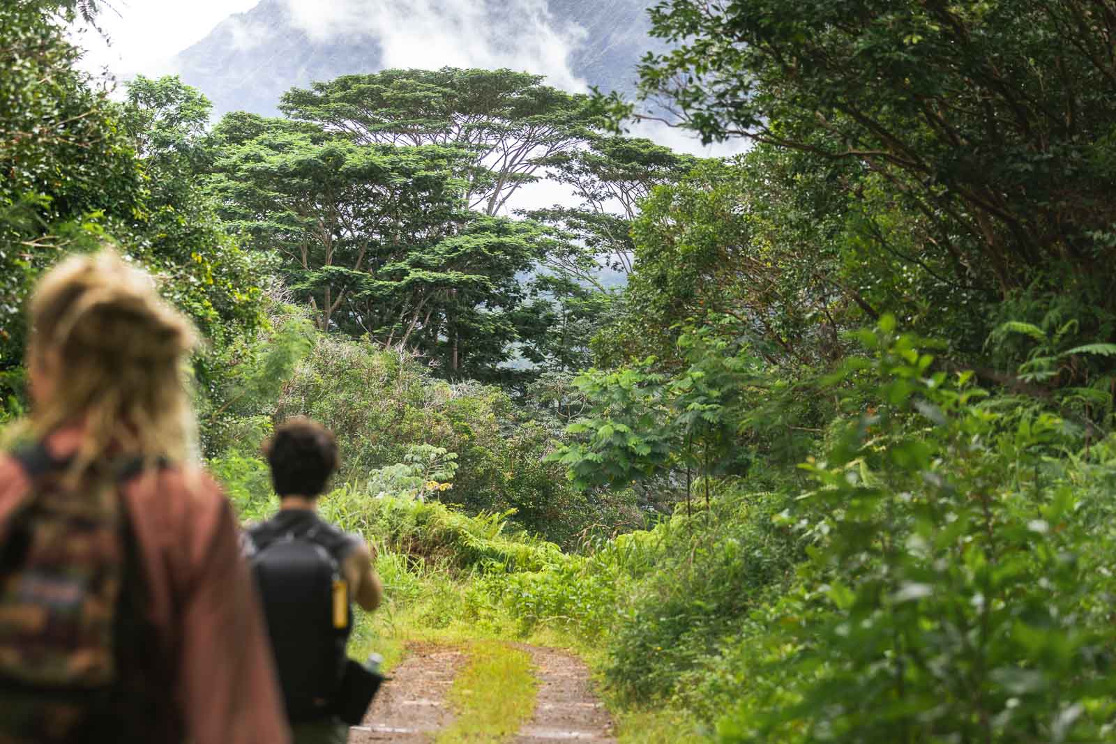 Woman and man on hiking trail