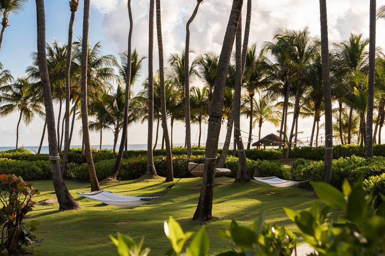 Beach hammocks